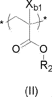 Figure JPOXMLDOC01-appb-C000051