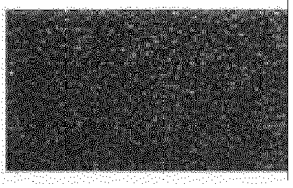 Figure imgb0004