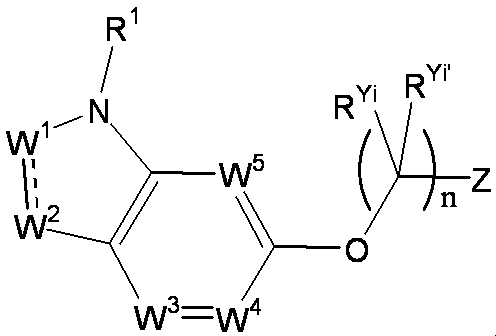 Figure JPOXMLDOC01-appb-C000029
