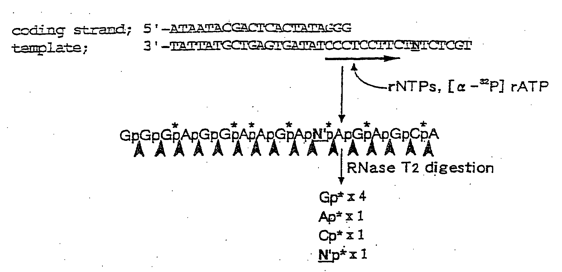 Figure 00220001
