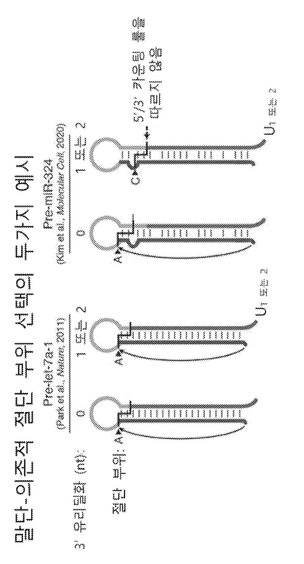 특허 도면 4