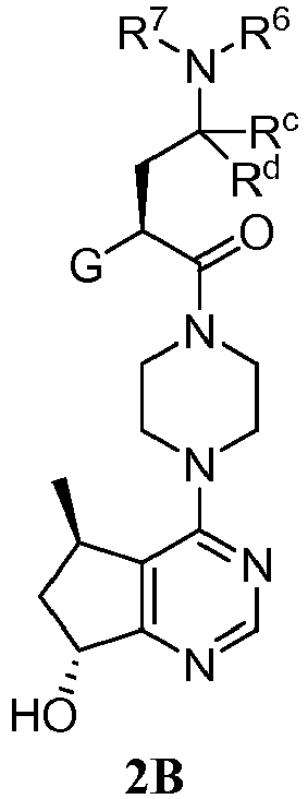 Figure imgb0106