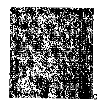 Figure 2012507290