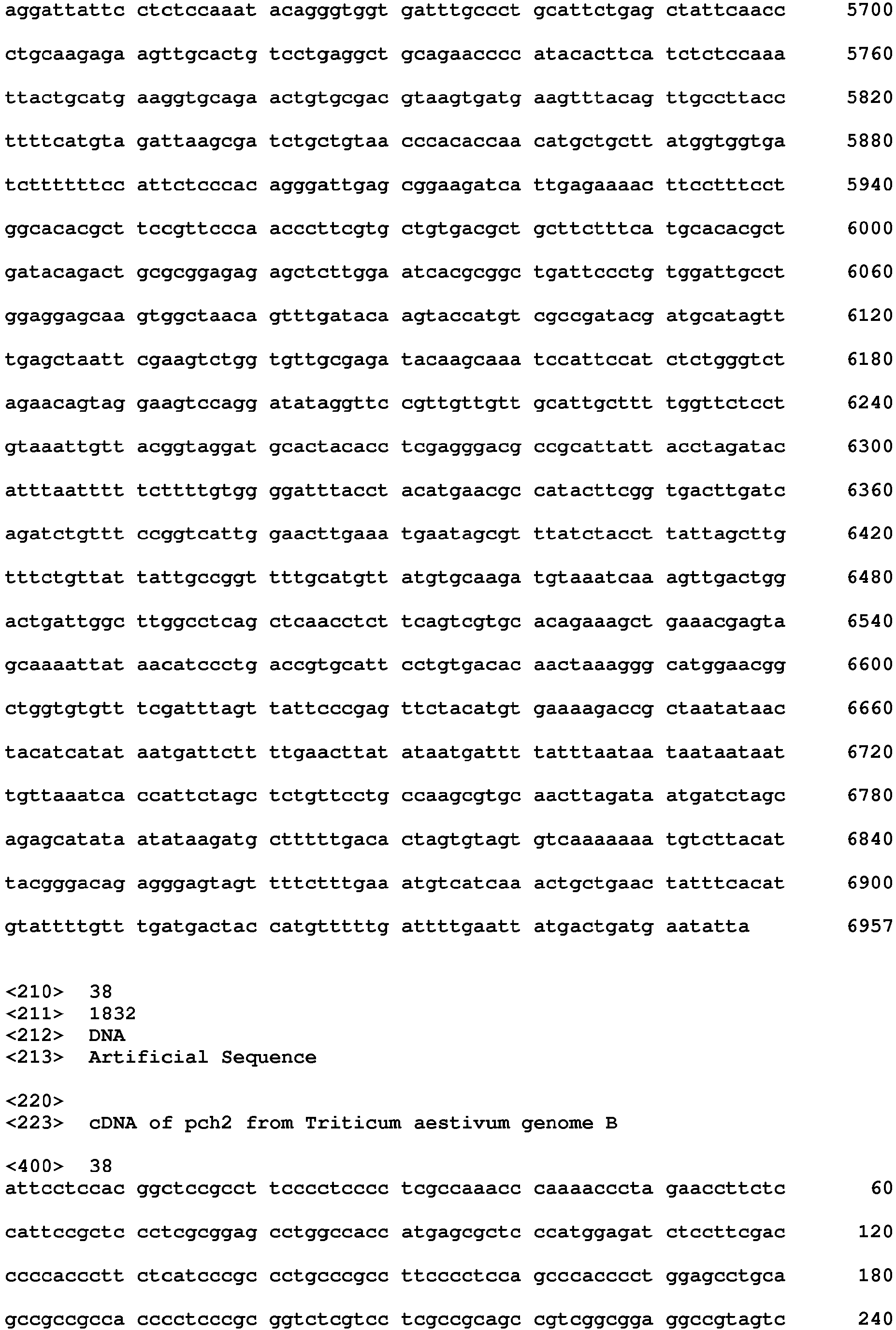 Figure imgb0029