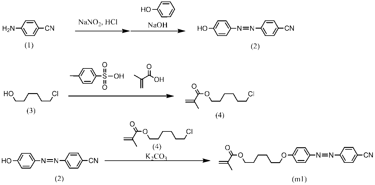 Figure JPOXMLDOC01-appb-C000052