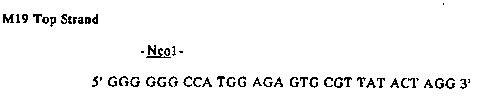 Figure 00200007