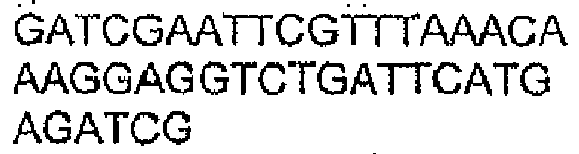 Figure imgb0013