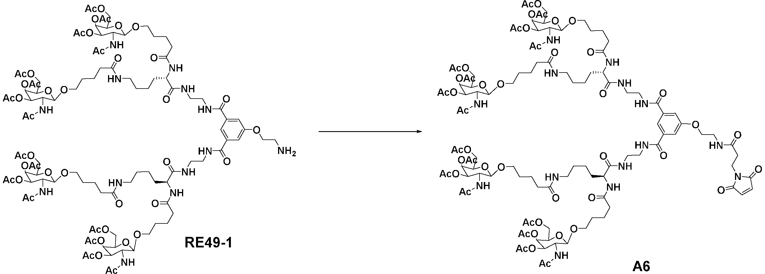 Figure JPOXMLDOC01-appb-C000216