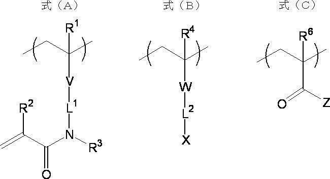 Figure JPOXMLDOC01-appb-C000005