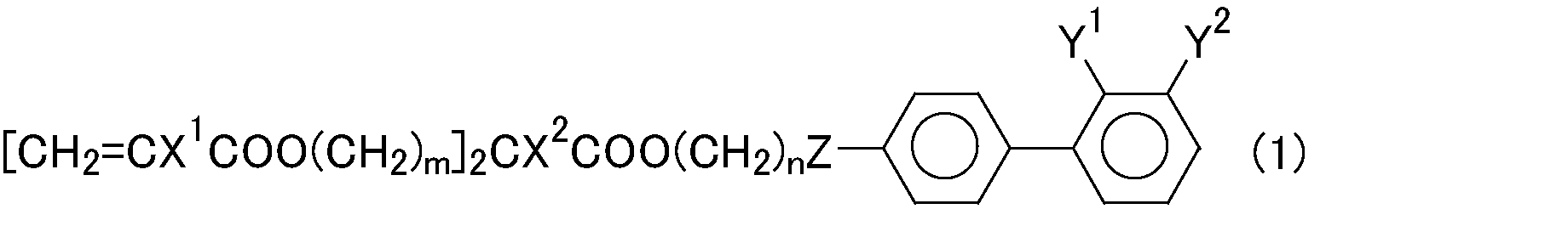 Figure JPOXMLDOC01-appb-C000013