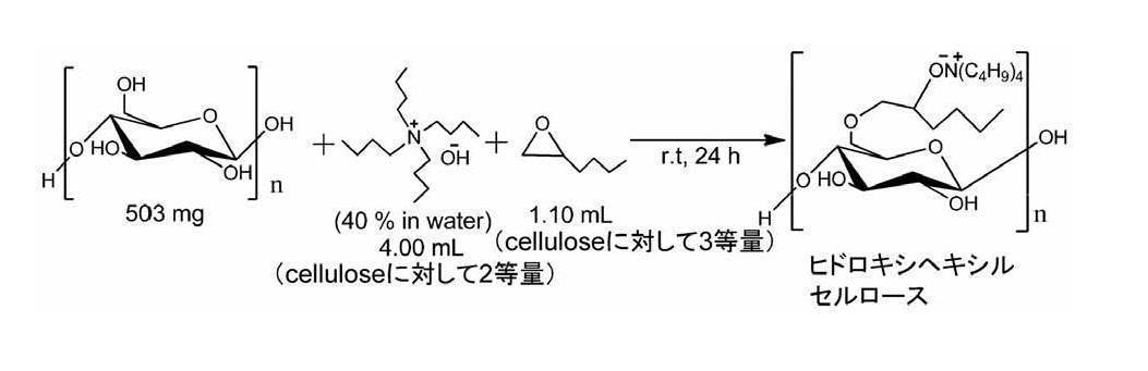 Figure JPOXMLDOC01-appb-C000011