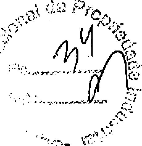 Figure BRPI0618731B1_D0020