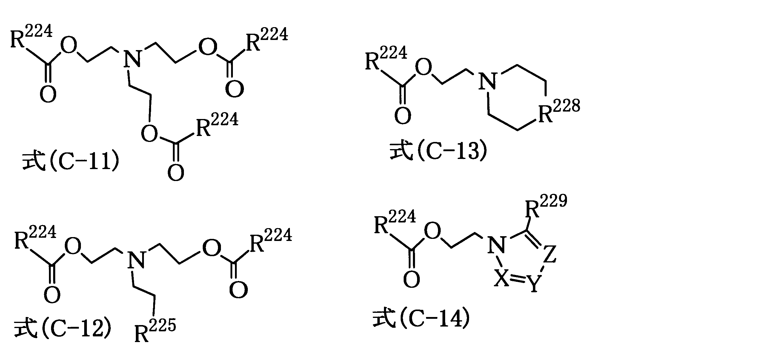 Figure JPOXMLDOC01-appb-C000024