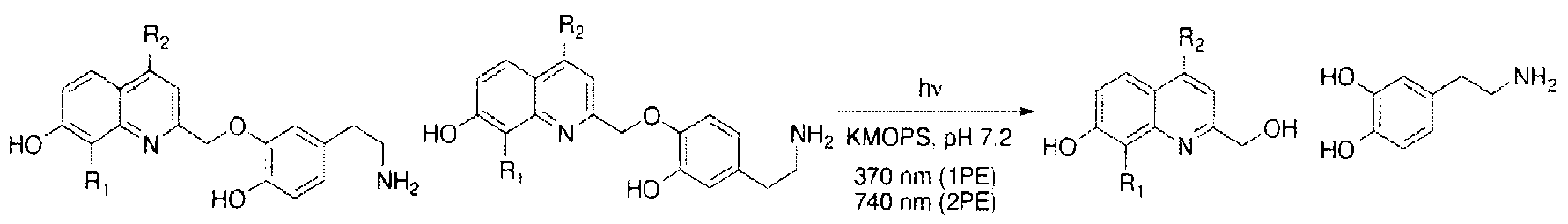 Figure imgf000035_0001