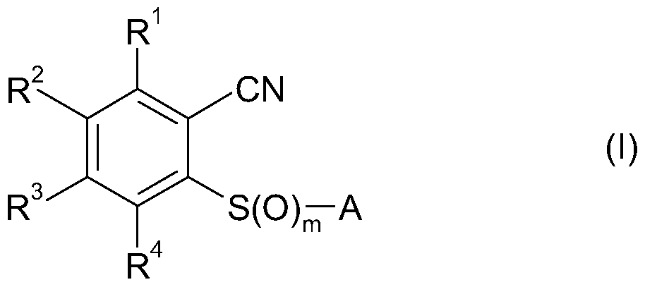 Figure imgf000003_0001