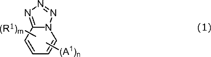 Figure JPOXMLDOC01-appb-C000009