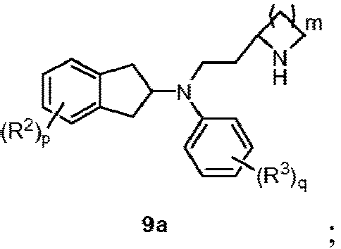 Figure imgb0111
