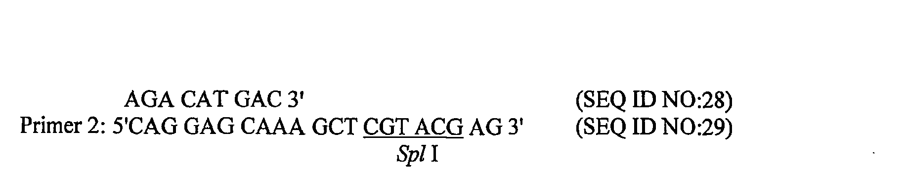 Figure imgb0004
