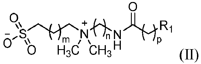 Figure imgb0101