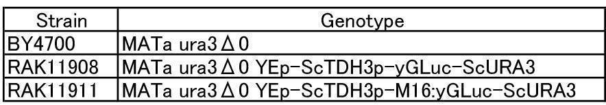 Figure JPOXMLDOC01-appb-T000007