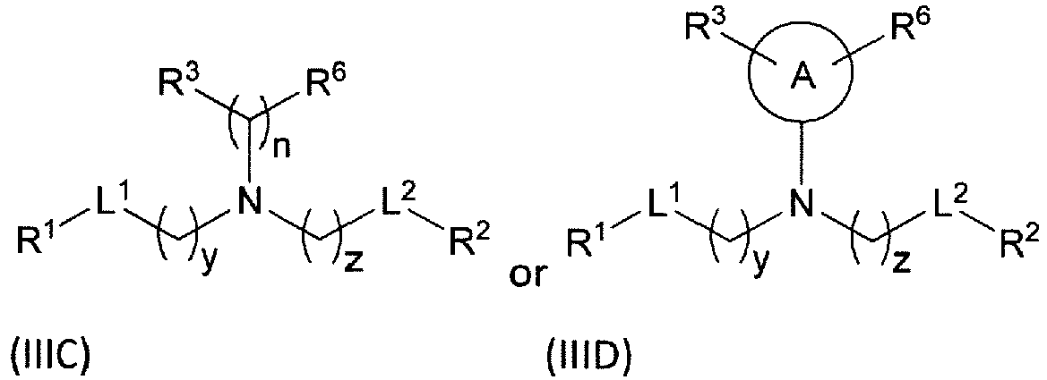 Figure imgb0171