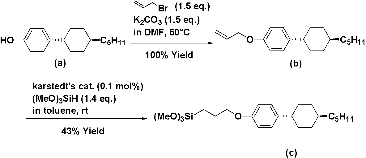 Figure JPOXMLDOC01-appb-C000019