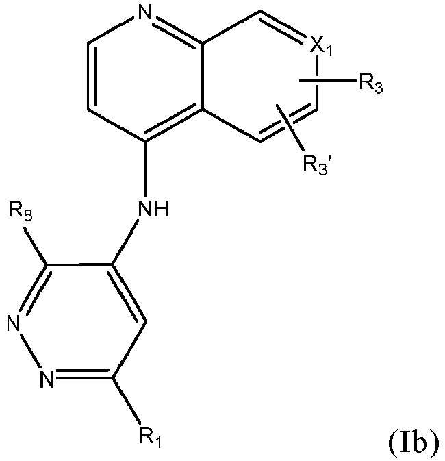 Figure imgb0413