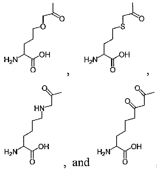 Figure imgf000093_0004