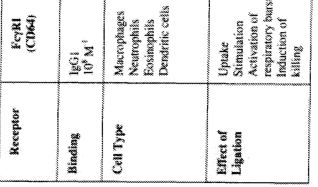 Woa9 Identification And Engineering Of Antibodies With Variant Fc Regions And Methods Of Using The Same Google Patents