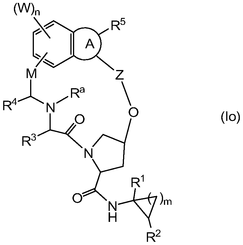 Figure imgf000004_0001