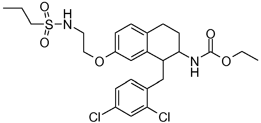 Figure imgb0205