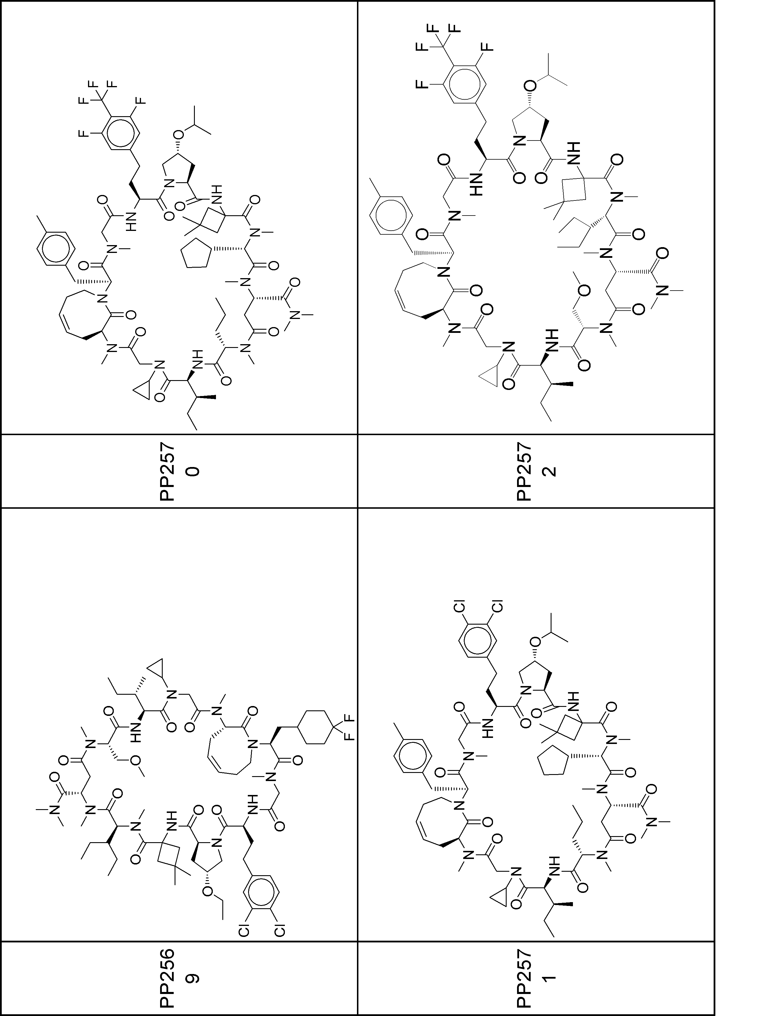 Figure JPOXMLDOC01-appb-I001099
