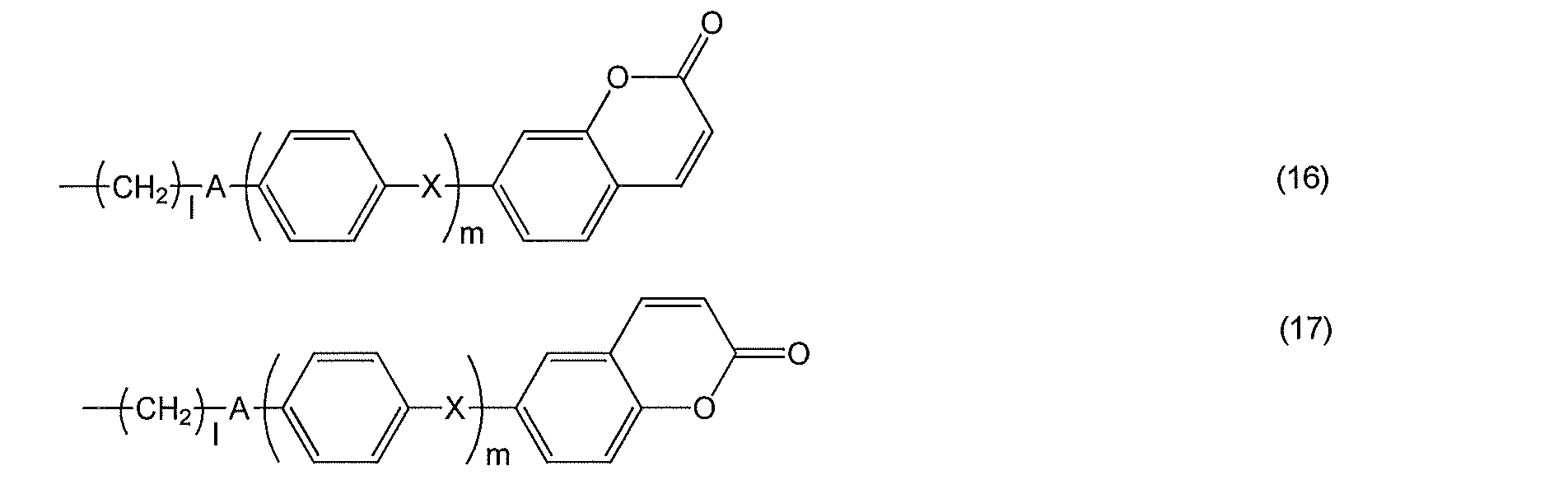 Figure JPOXMLDOC01-appb-C000050
