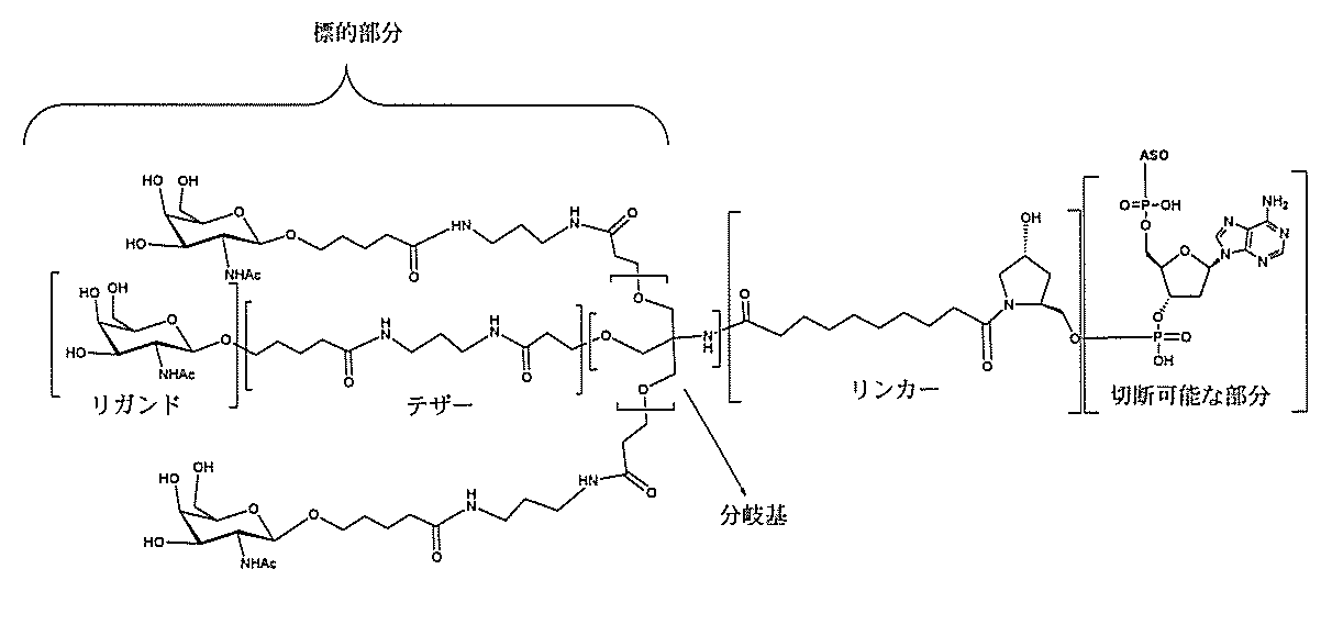 Figure 2022017514000213