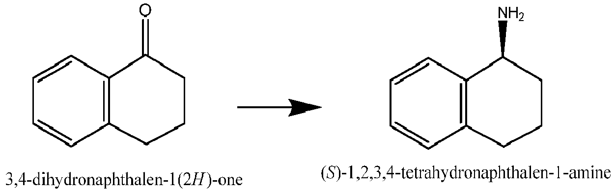 Figure imgb0010