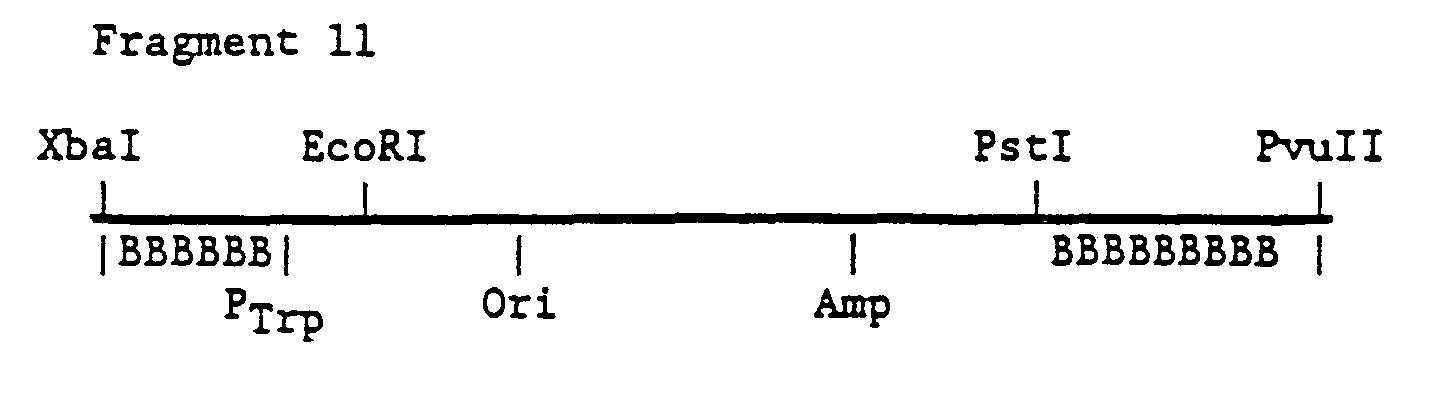 Figure imgb0016