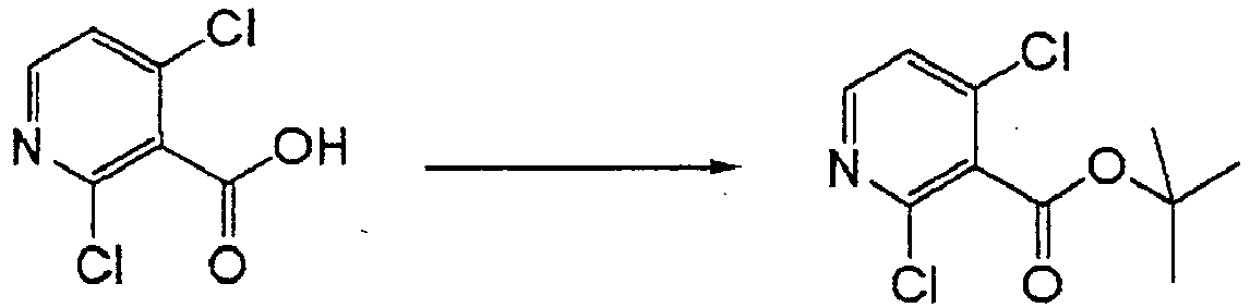 Figure imgb0050