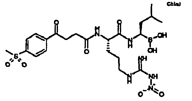Figure imgb0551