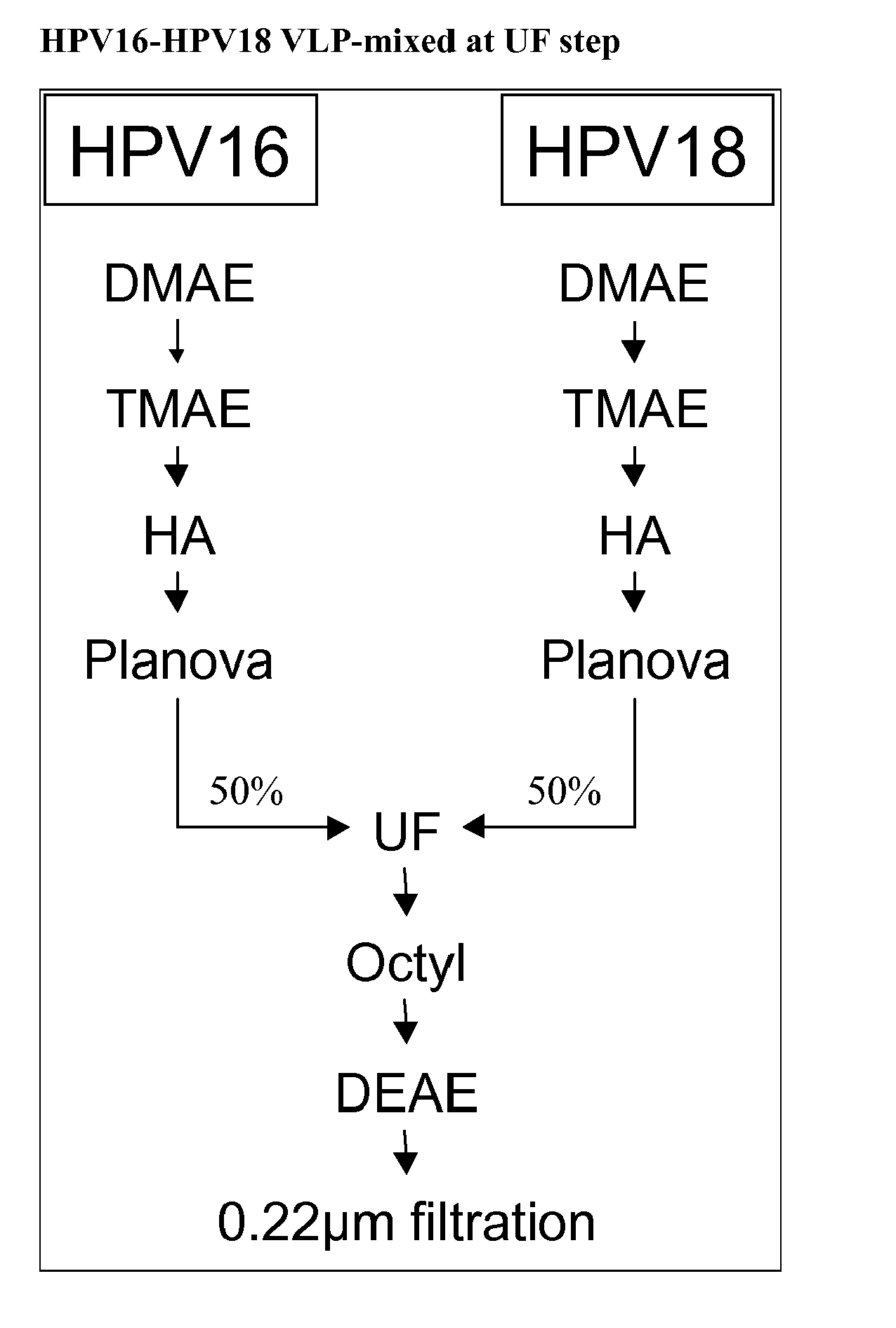 Figure imgb0001