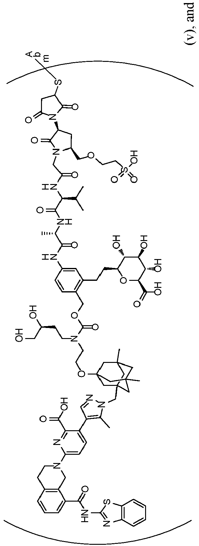 Figure imgb0096