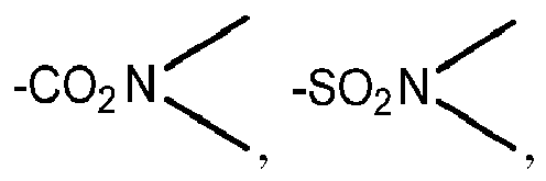Figure imgb0004