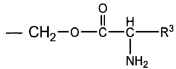 Figure imgb0045