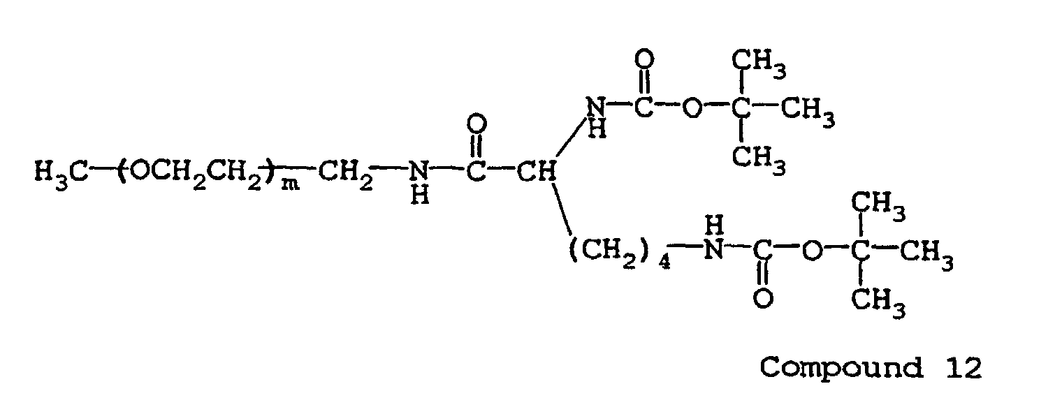 Figure 00510004