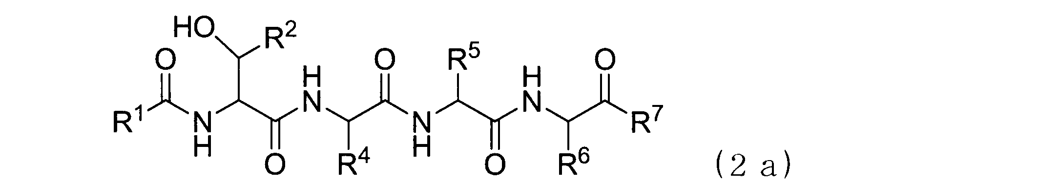 Figure JPOXMLDOC01-appb-C000032