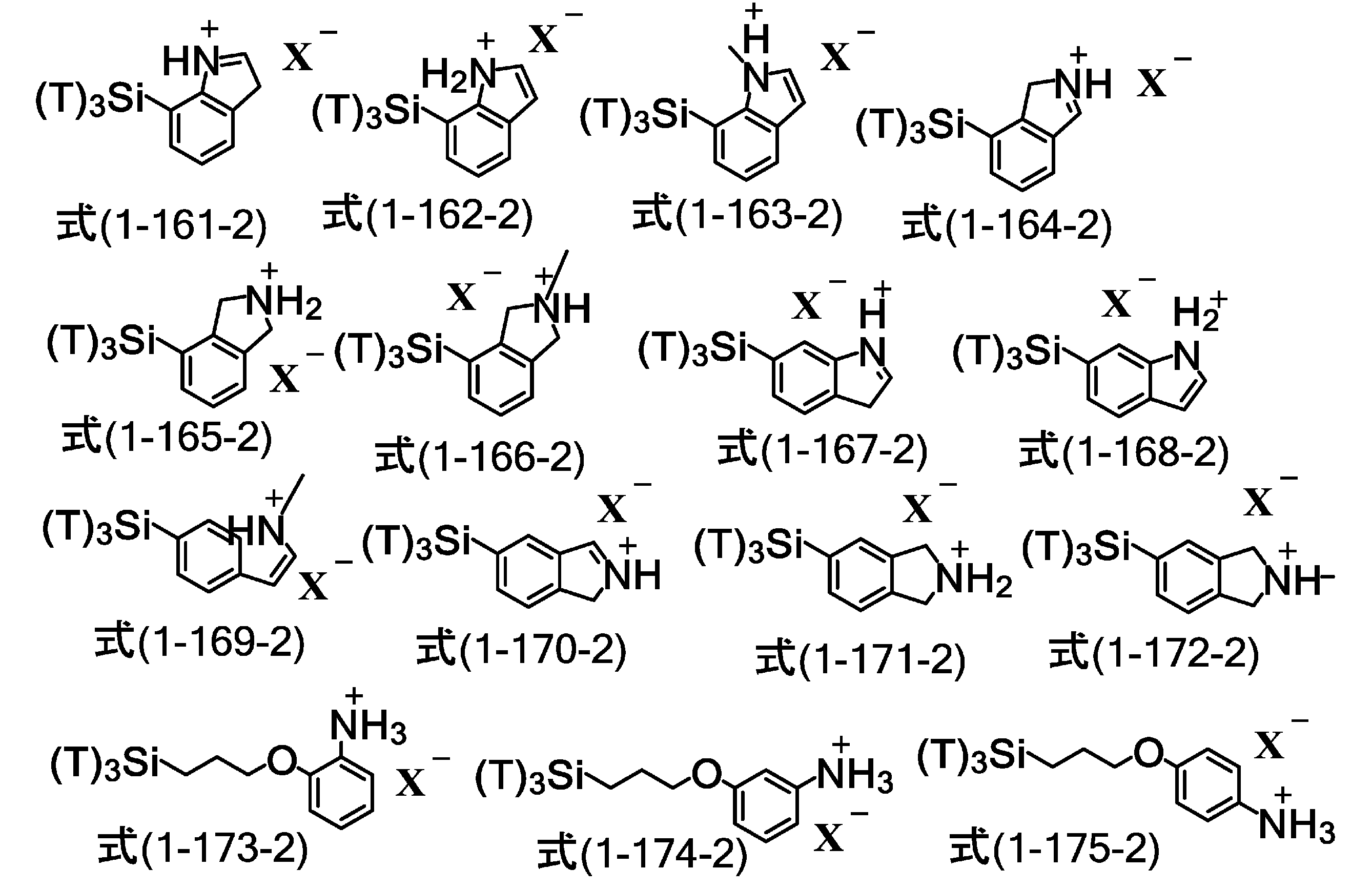 Figure JPOXMLDOC01-appb-C000062
