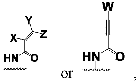 Figure imgb0259