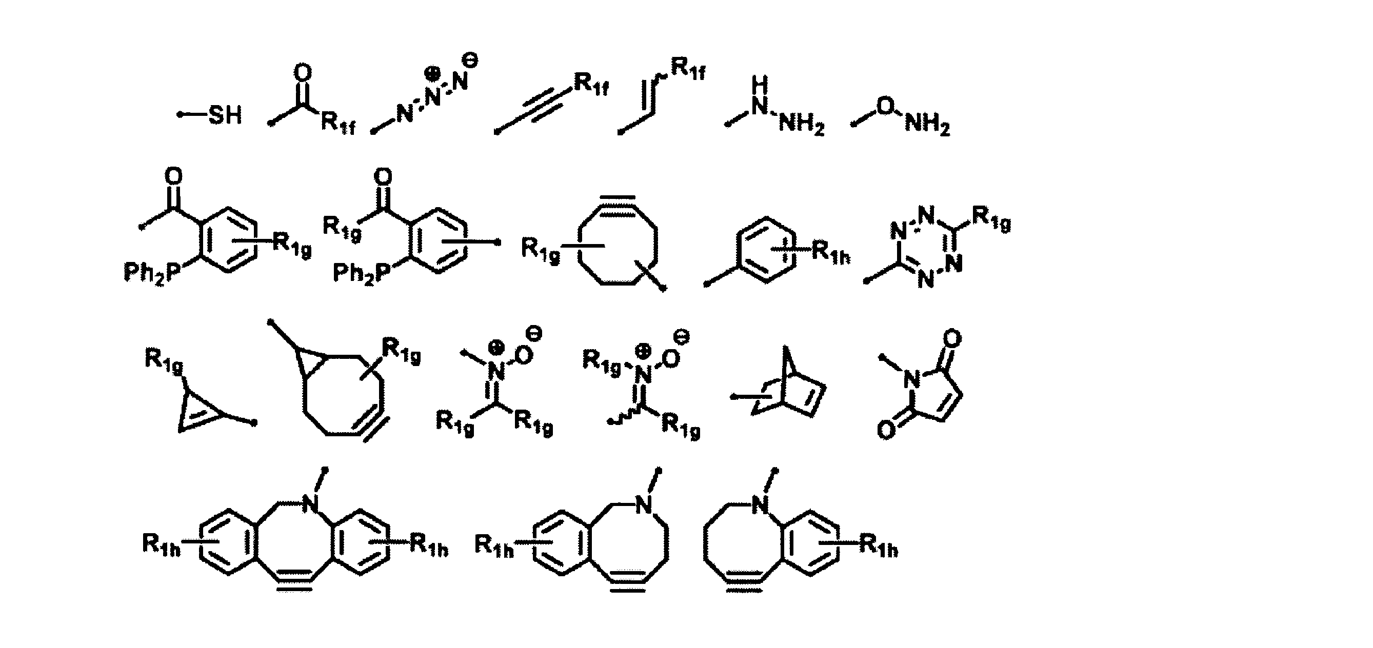Figure JPOXMLDOC01-appb-C000019