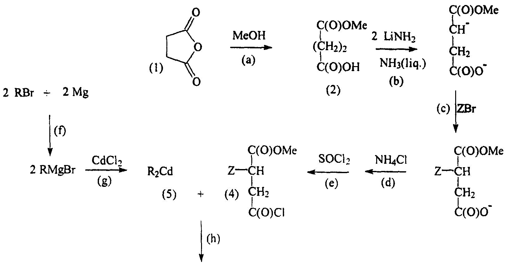 Figure imgf000039_0001