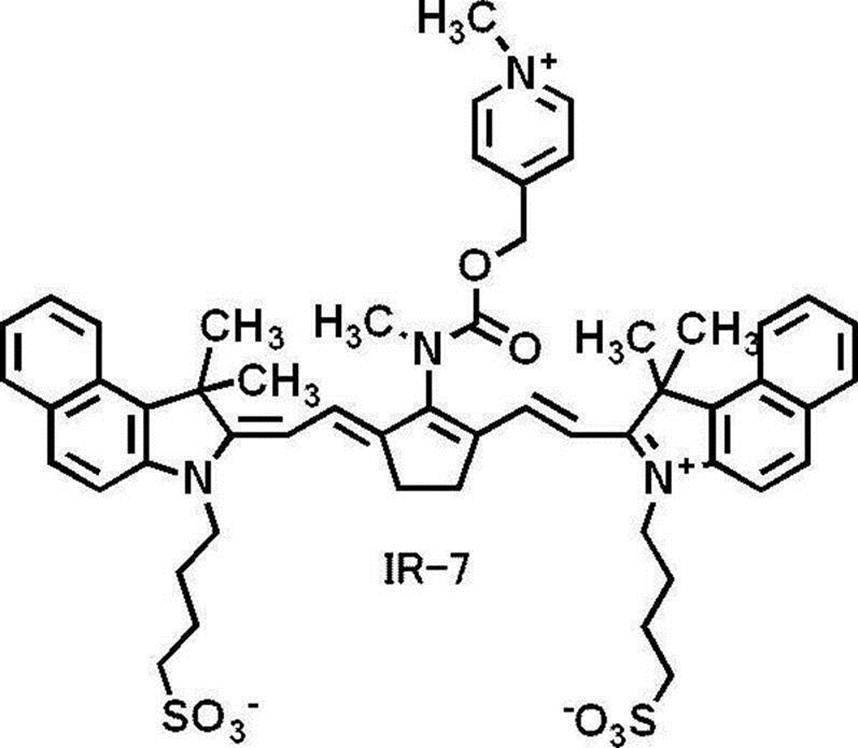 Figure JPOXMLDOC01-appb-C000036
