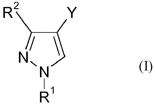 Figure imgb0004